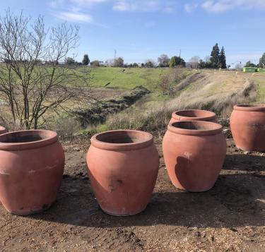Large Planting Pots